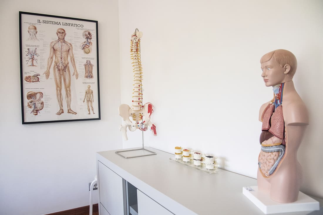Che cos'è l'osteopatia? Significato e origini