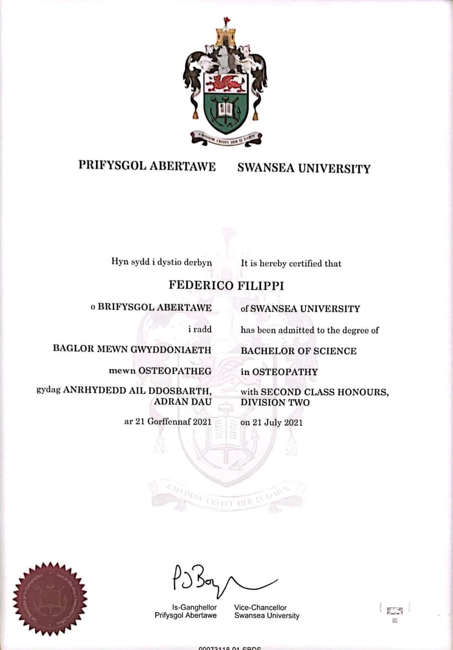 Laurea BSc (Hons) in Osteopathy — University of Swansea